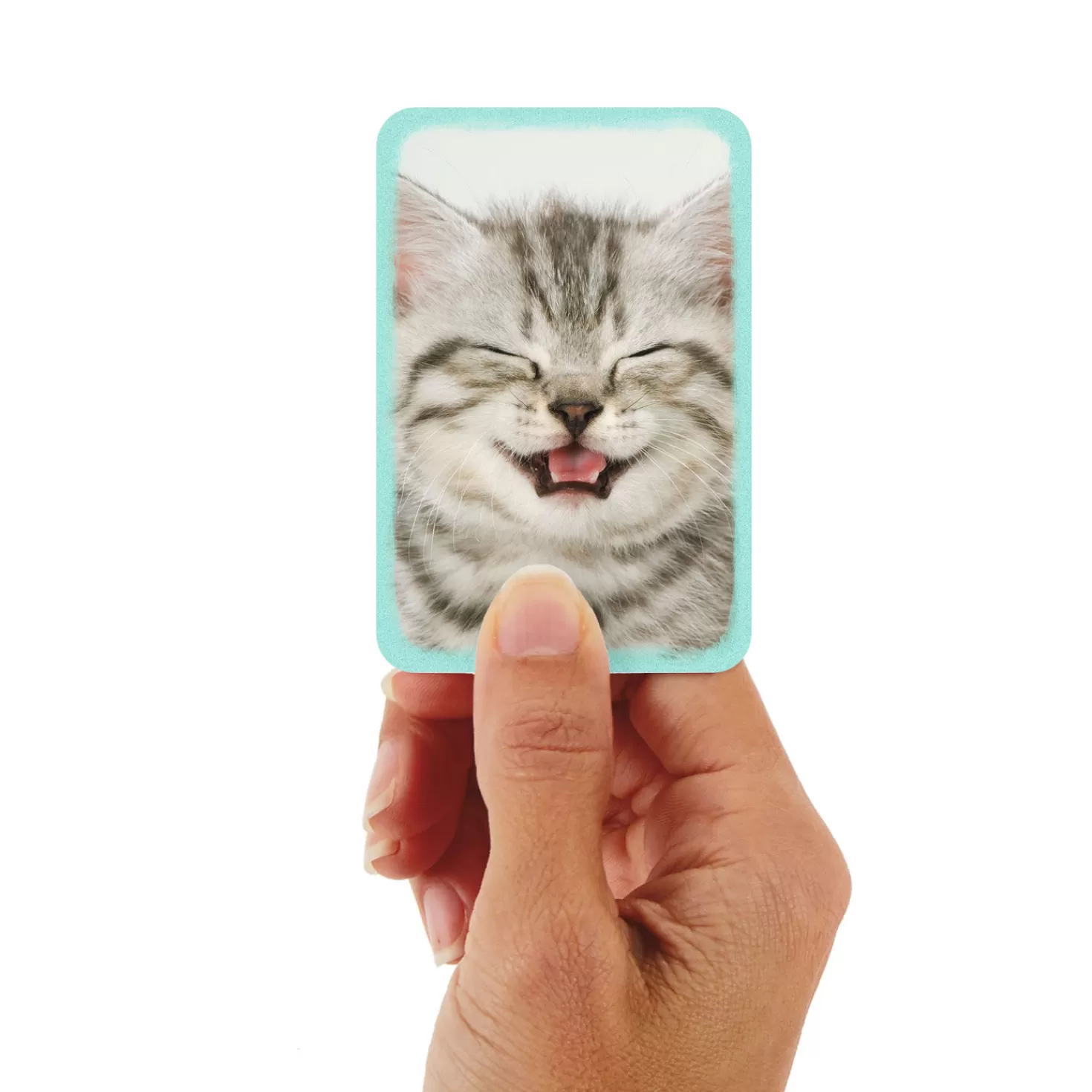 Online 3.25" Mini Cute Kitten Blank Card Encouragement