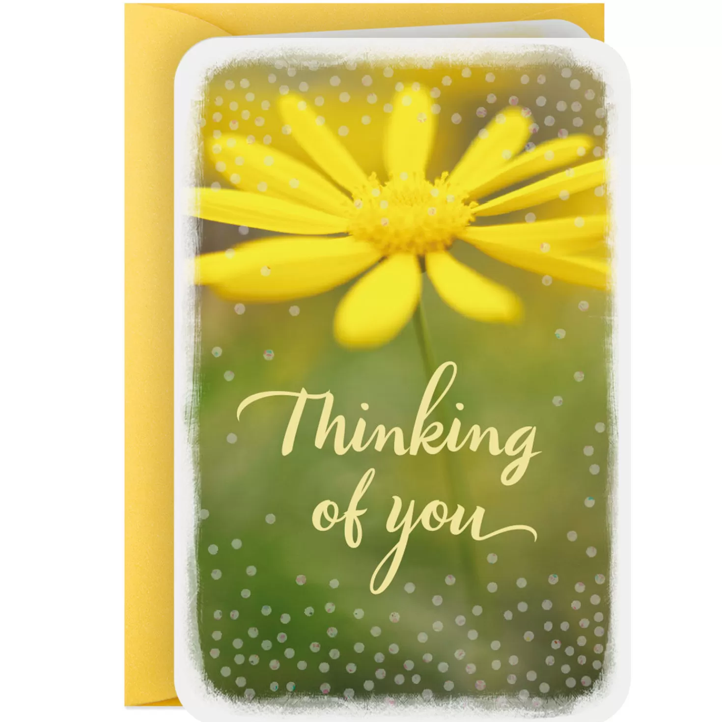 New 3.25" Mini Hope You'Re Having A Good Day Thinking Of You Card Thank You