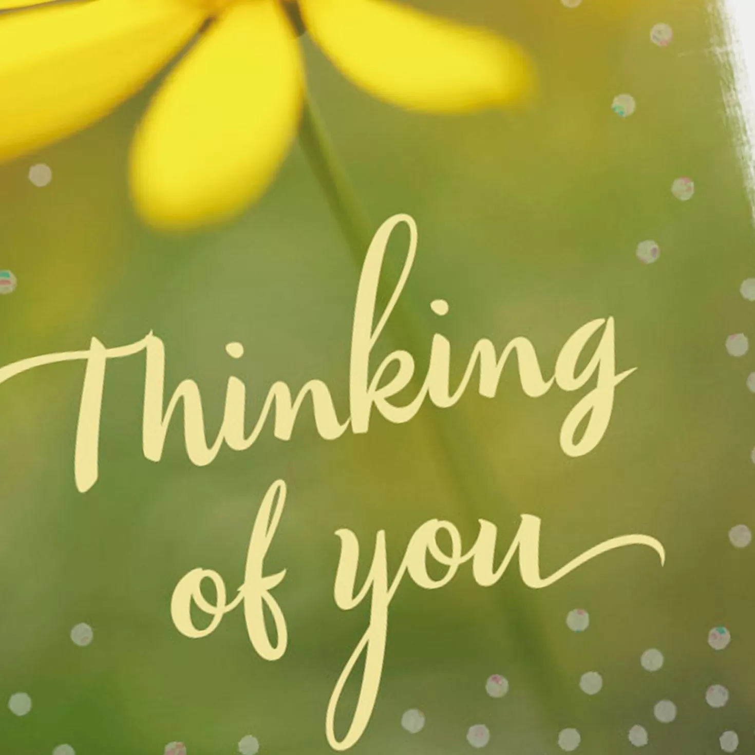 New 3.25" Mini Hope You'Re Having A Good Day Thinking Of You Card Thank You