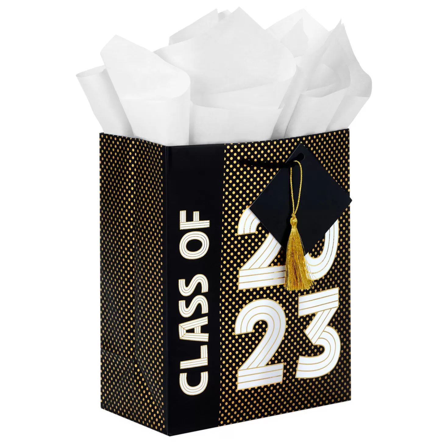 Store 9.6" Class Of 2023 Medium Graduation Gift Bag With Tissue Paper Graduation