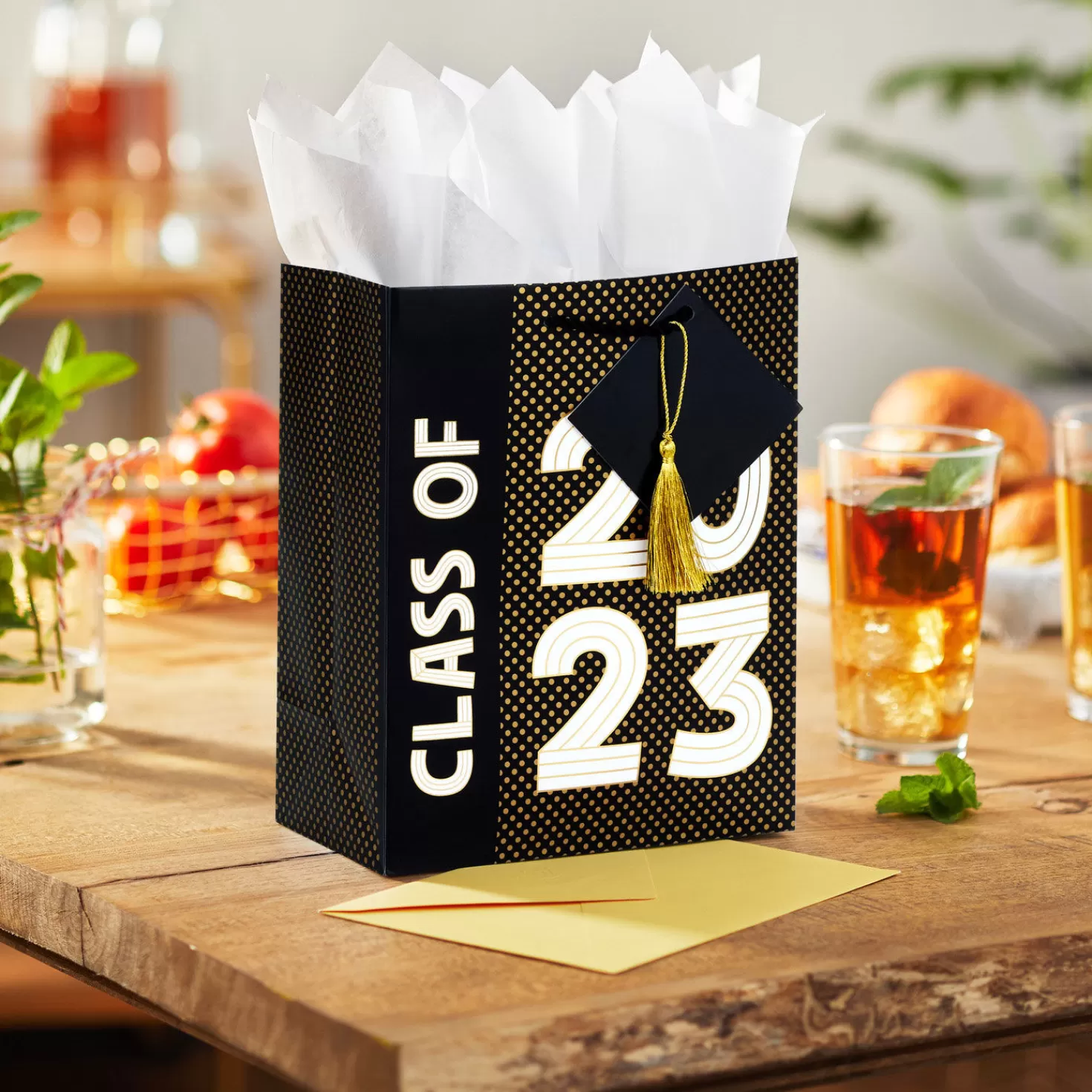 Store 9.6" Class Of 2023 Medium Graduation Gift Bag With Tissue Paper Graduation