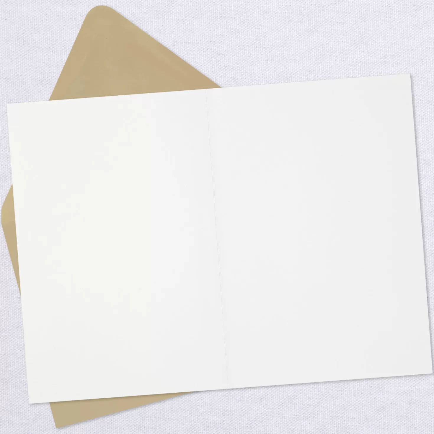 Cheap A Dozen Dogs Blank Card Encouragement