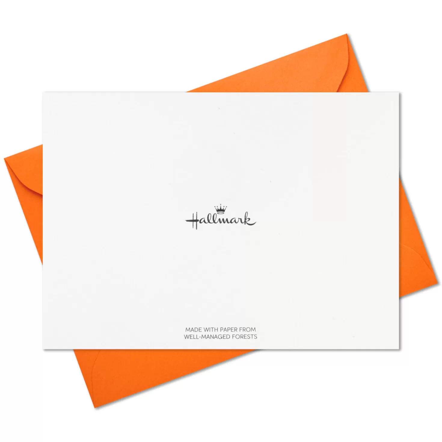 Store Abstract Doodles And Dots Boxed Blank Note Cards, Pack Of 48 Back To School