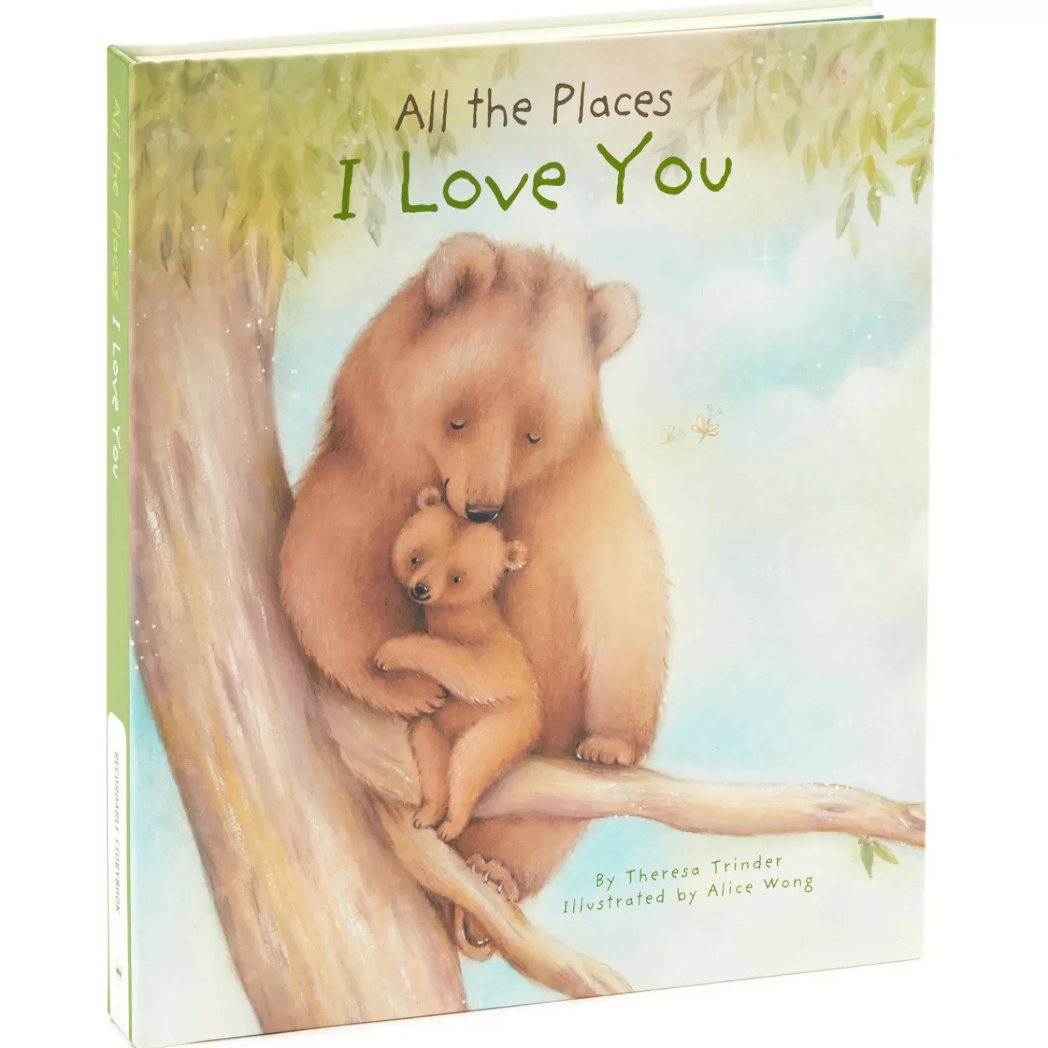 Baby>Hallmark All The Places I Love You Recordable Storybook With Music