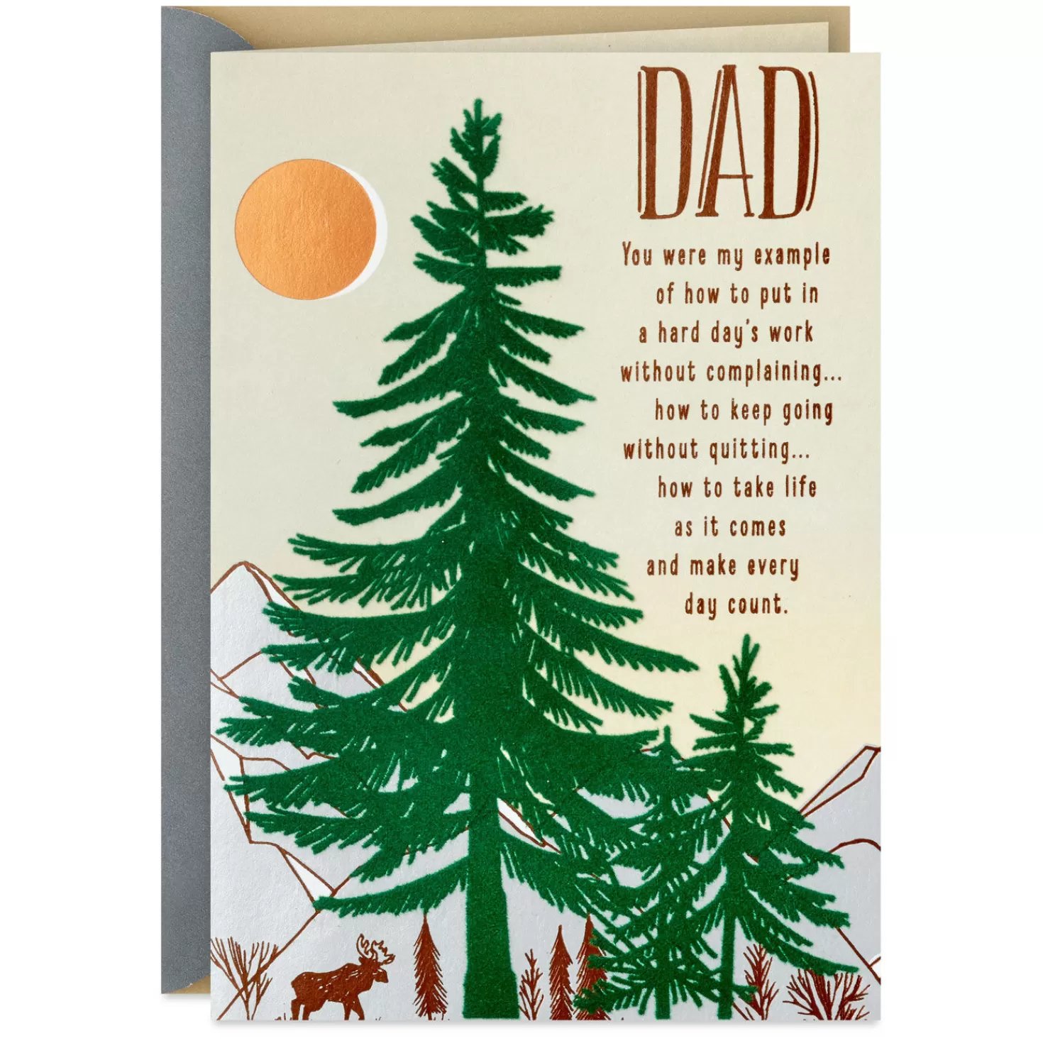 Birthday>Hallmark All The Reasons I'M Proud And Grateful Birthday Card For Dad