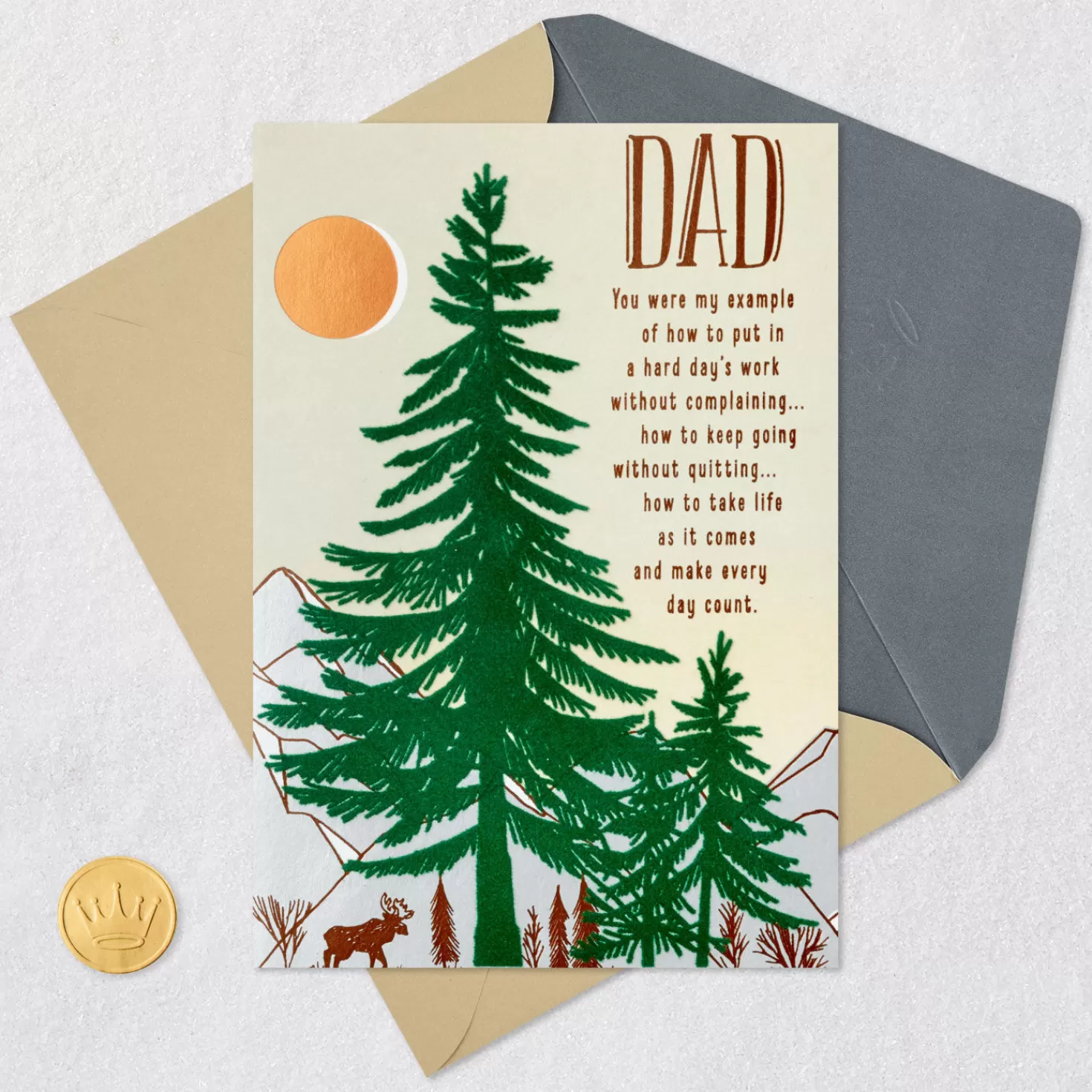 Birthday>Hallmark All The Reasons I'M Proud And Grateful Birthday Card For Dad