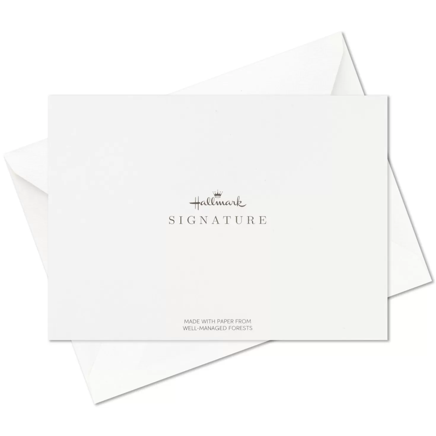 Best Amazing You Boxed Blank Note Cards Multipack, Pack Of 8 Thank You