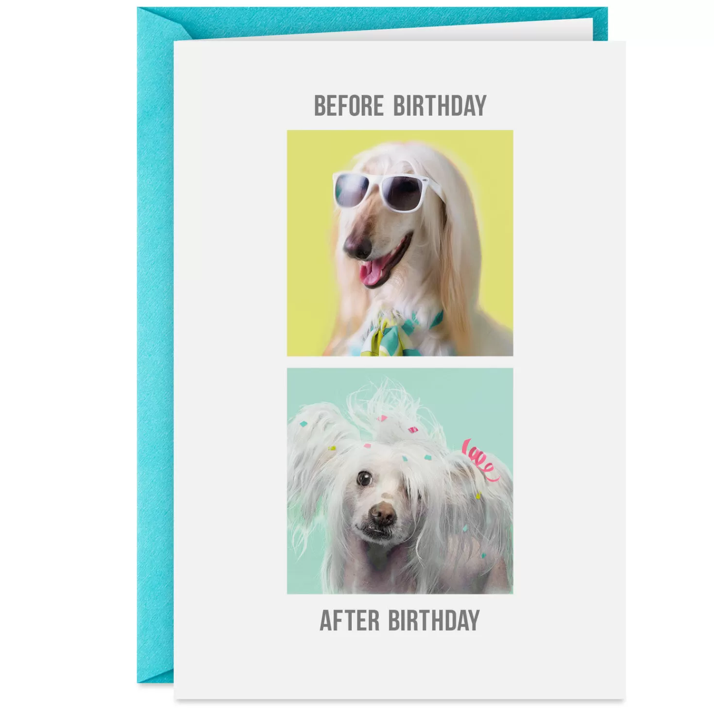 Birthday>Hallmark An Extra Day To Recover Funny Birthday Card