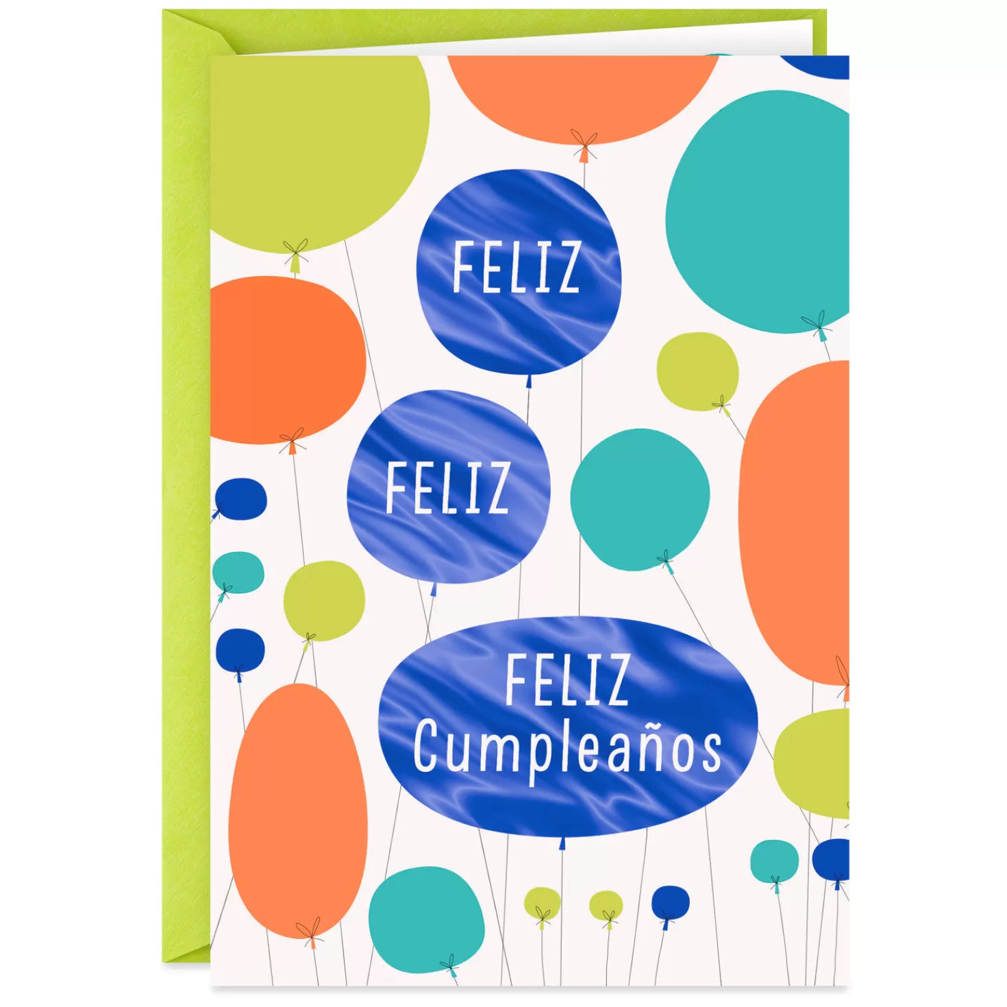 Birthday>Hallmark Another Year Of Wonderful You Spanish-Language Birthday Card