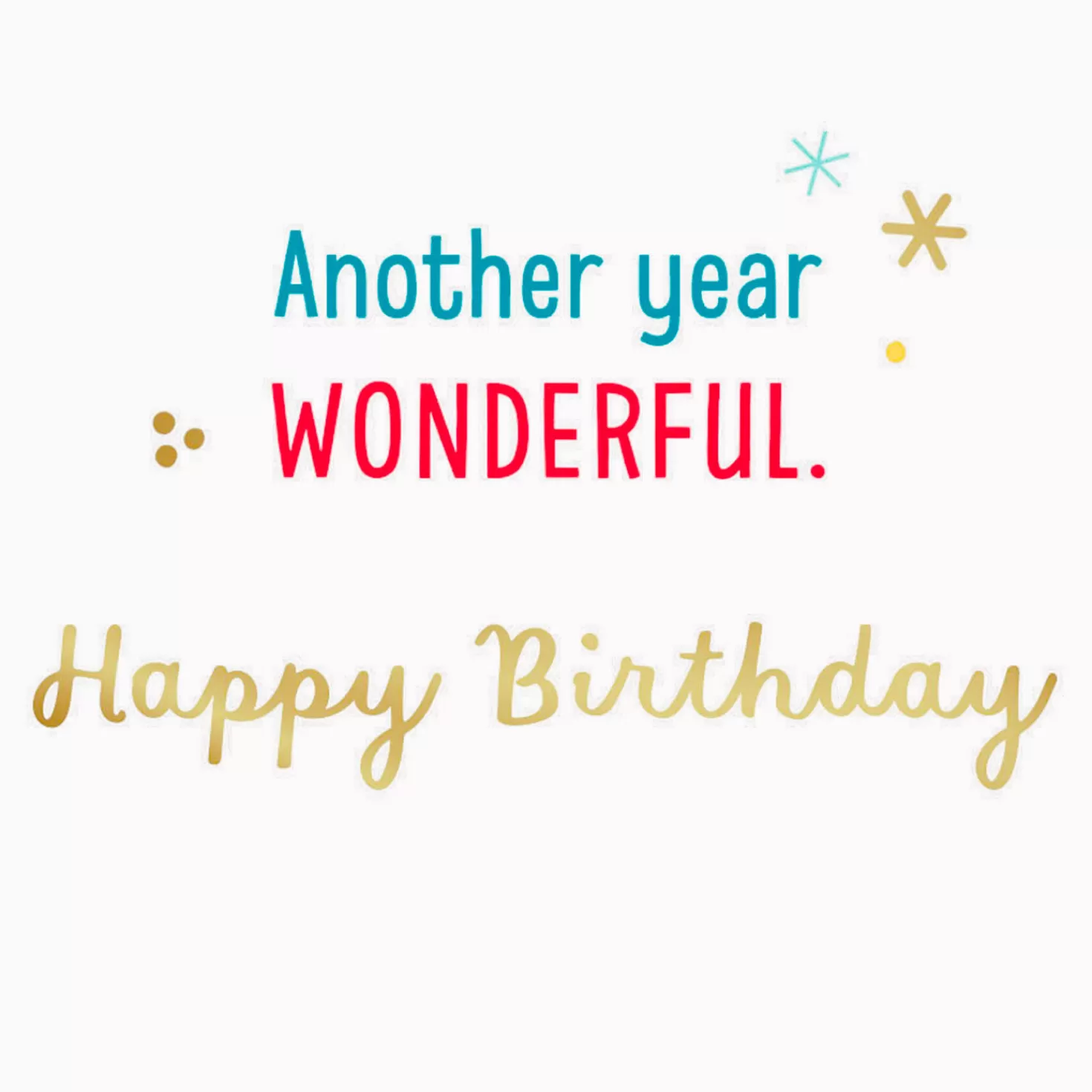 Birthday>Hallmark Another Year Wonderful Video Greeting Birthday Card
