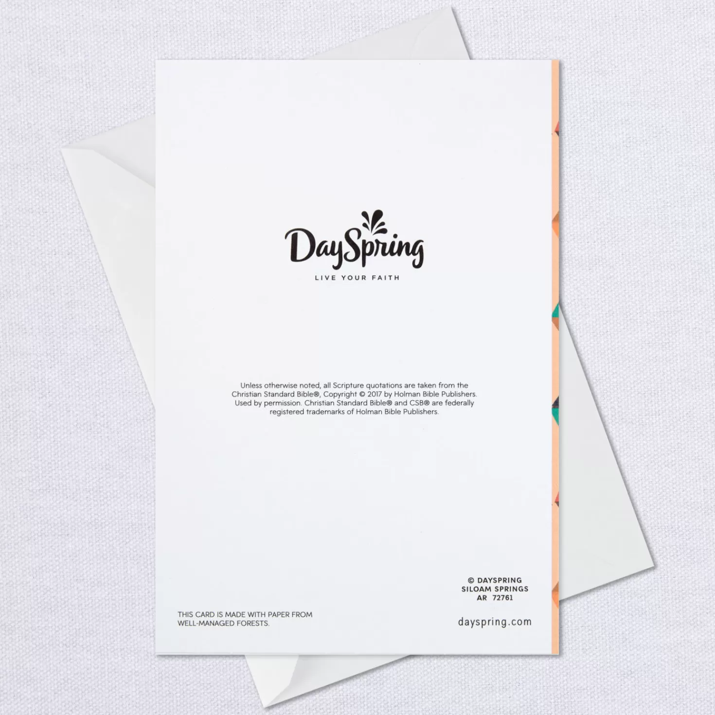 New Asking God To Bless You Religious Thank-You Cards, Pack Of 10 Thank You