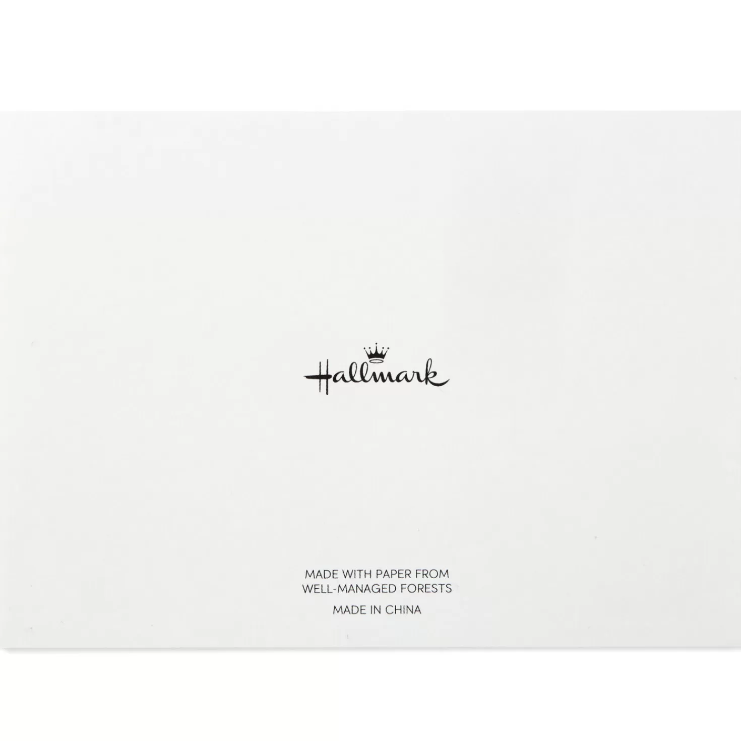 Shop Assorted Bold And Modern Blank Thank-You Notes, Box Of 50 Thank You