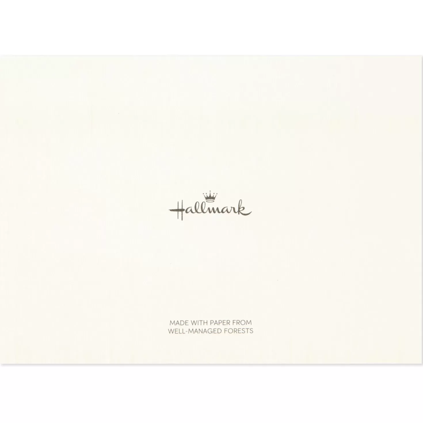 Best Assorted Kraft Blank Note Cards And Thank-You Notes, Box Of 40 Thank You