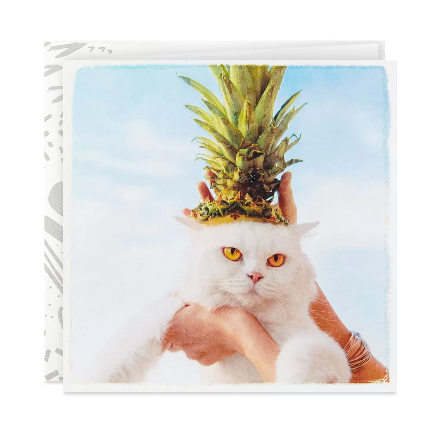 Birthday>Hallmark Believe In Yourself Cat In Pineapple Hat Birthday Card