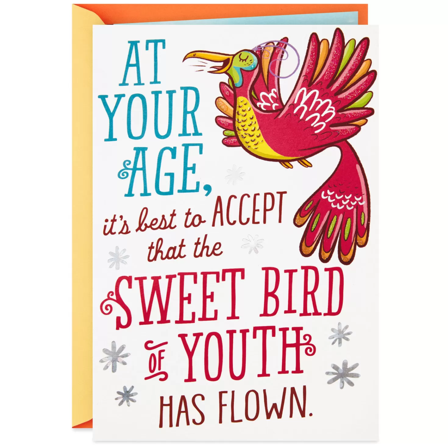 Birthday>Hallmark Bird Of Youth Funny Pop-Up Birthday Card