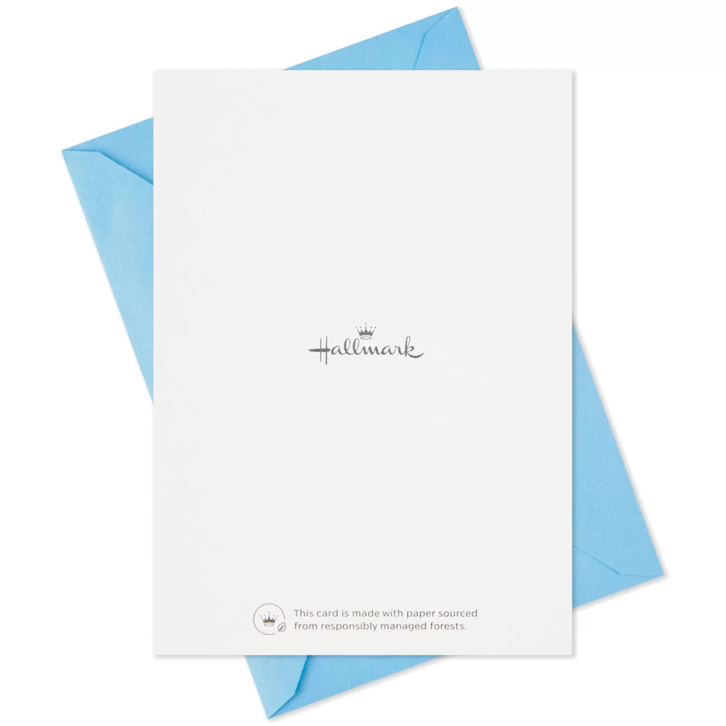 Store Blue Watercolor Assortment Blank Sympathy Thank-You Notes, Pack Of 24 Thank You