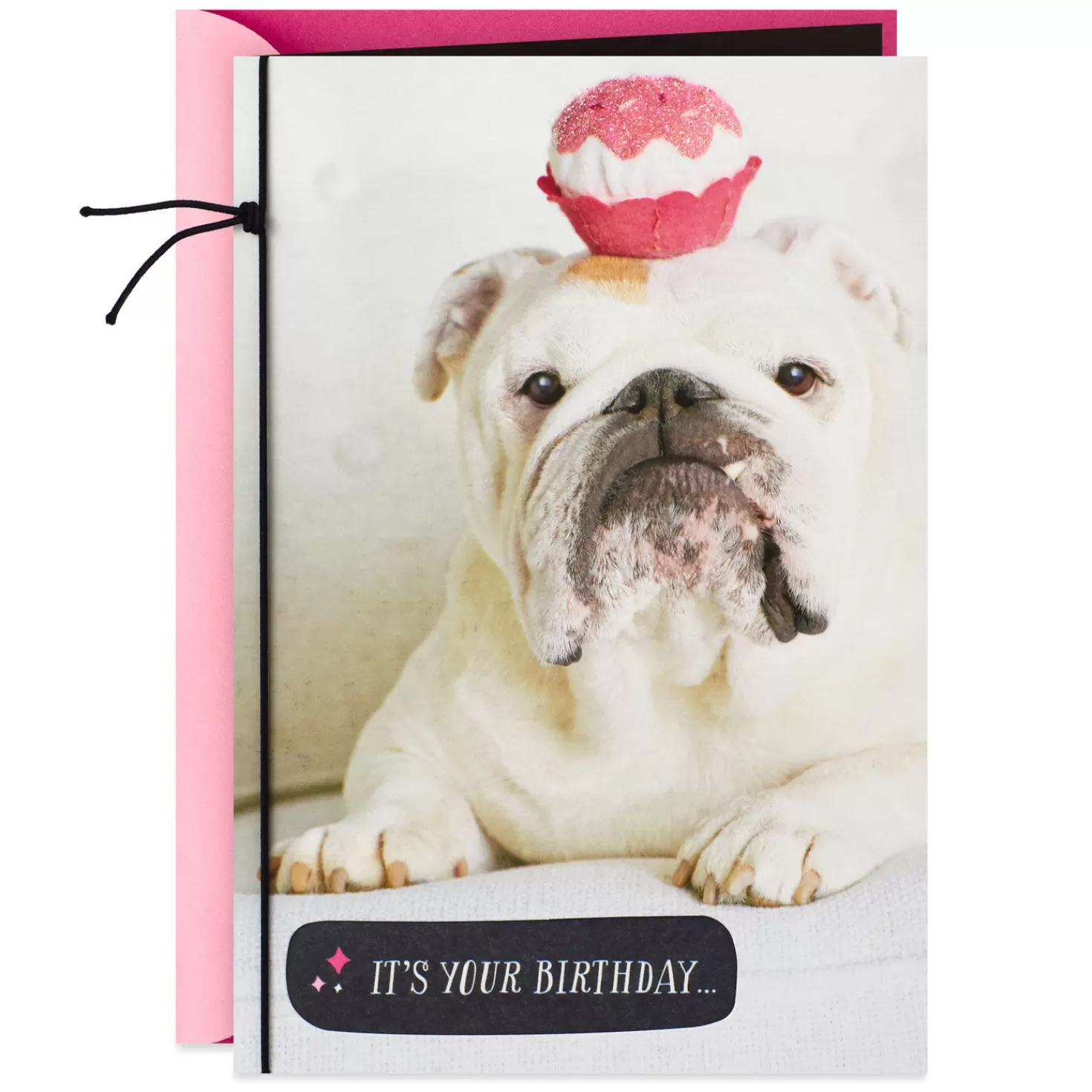 Birthday>Hallmark Bulldog Accessorize Accordingly Birthday Card