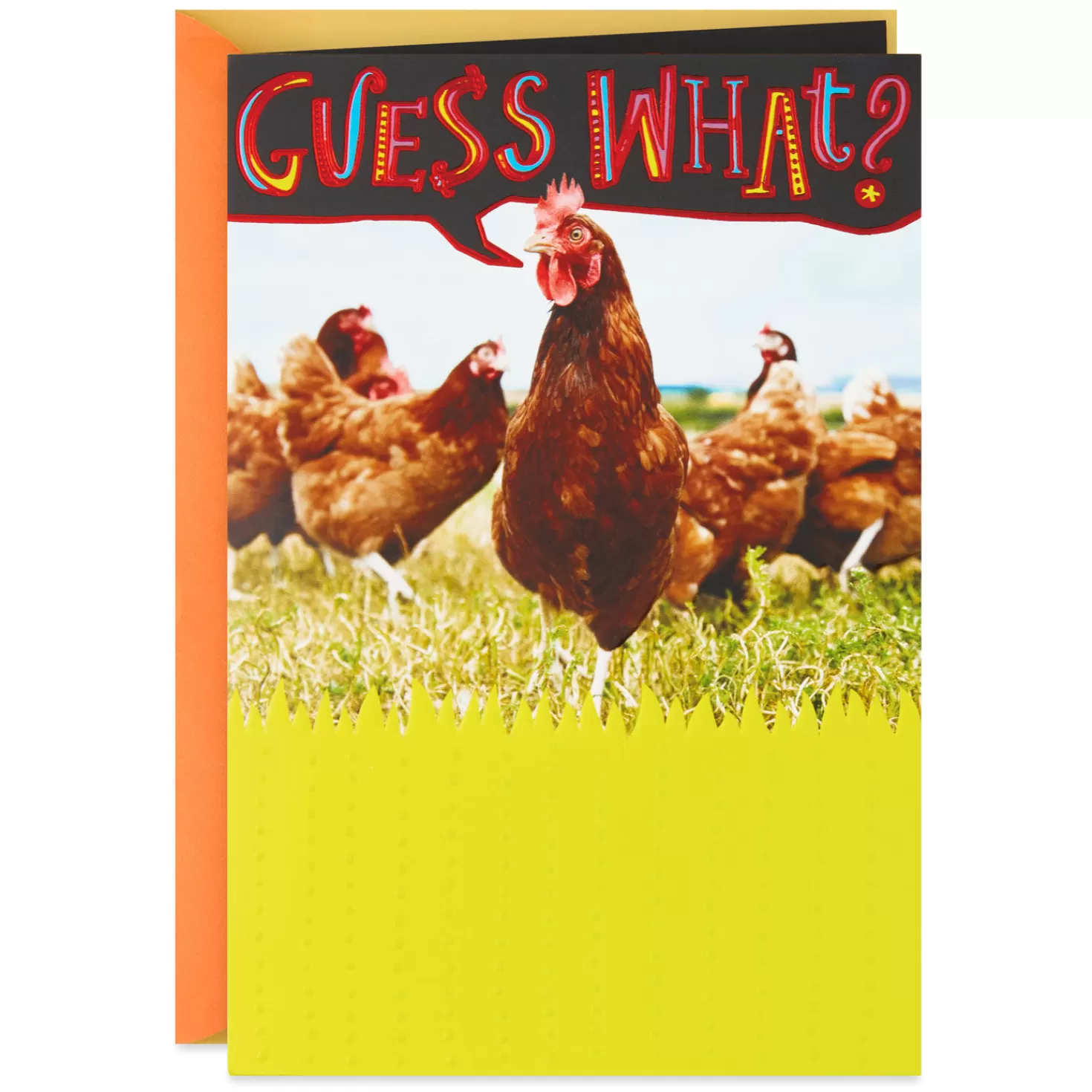 Birthday>Hallmark Chicken Butt Funny Pop-Up Birthday Card
