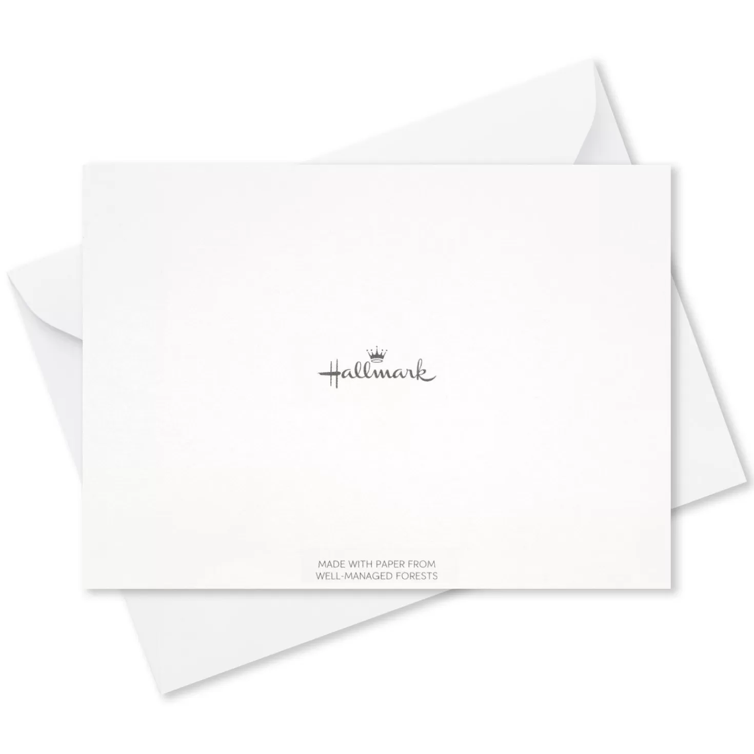 Flash Sale Colorful All-Caps Thanks Blank Thank-You Notes, Box Of 10 Thank You