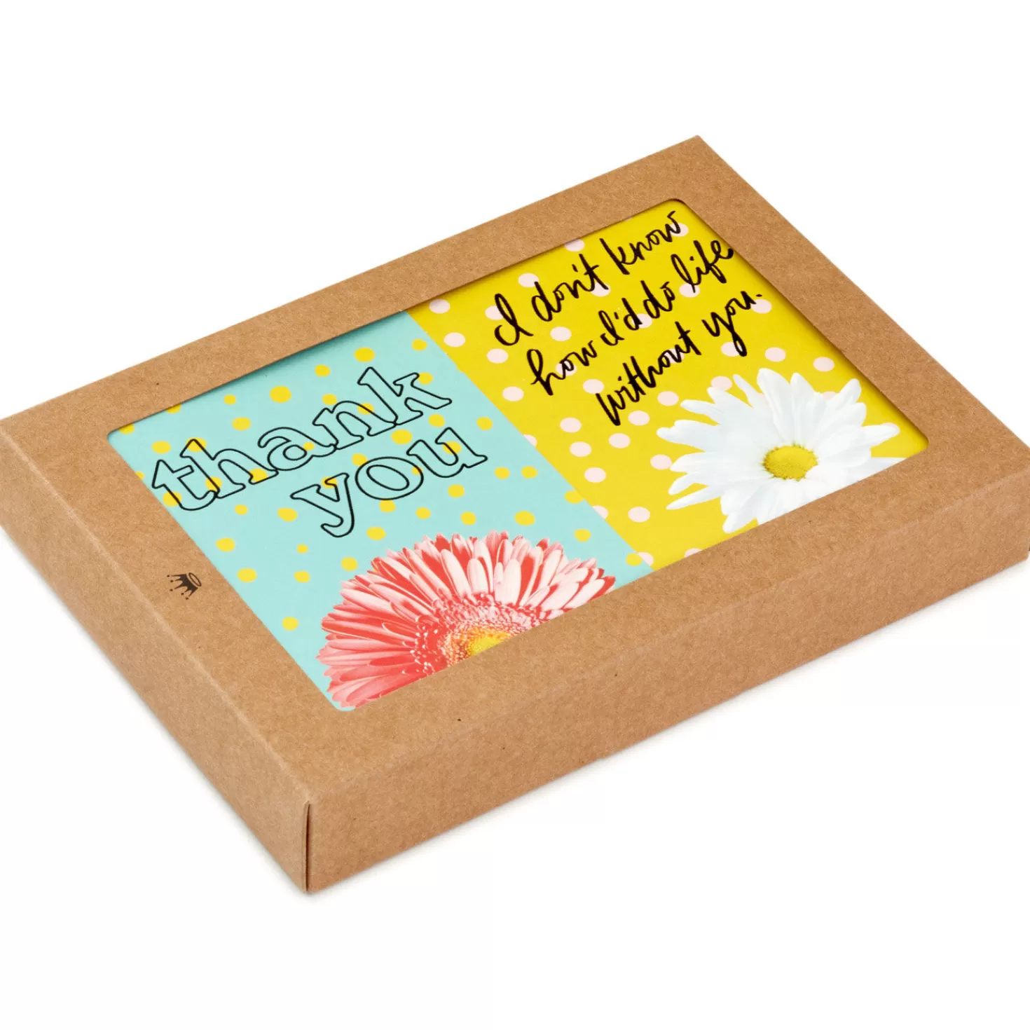 Online Colorful Daisies Boxed Thank-You Notes, Pack Of 50 Thank You