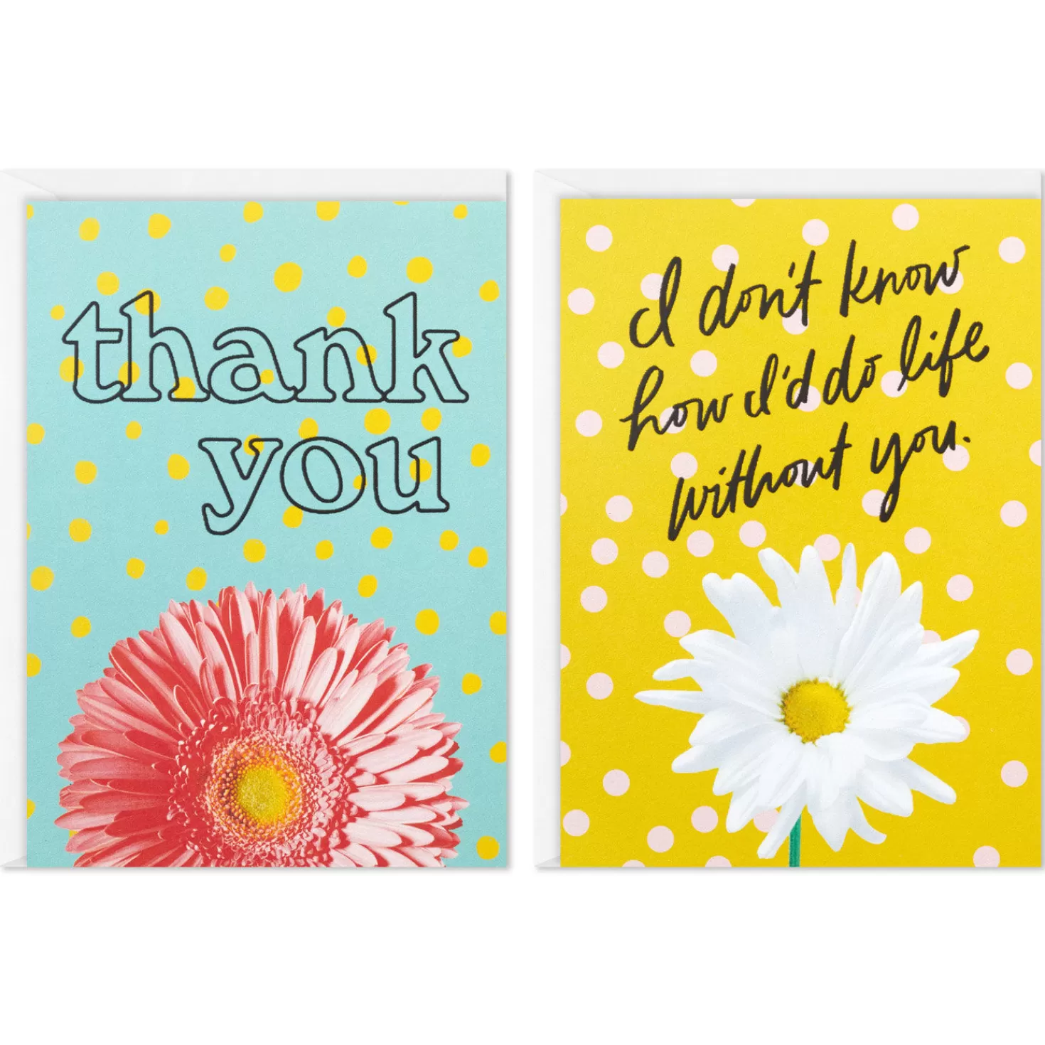 Online Colorful Daisies Boxed Thank-You Notes, Pack Of 50 Thank You