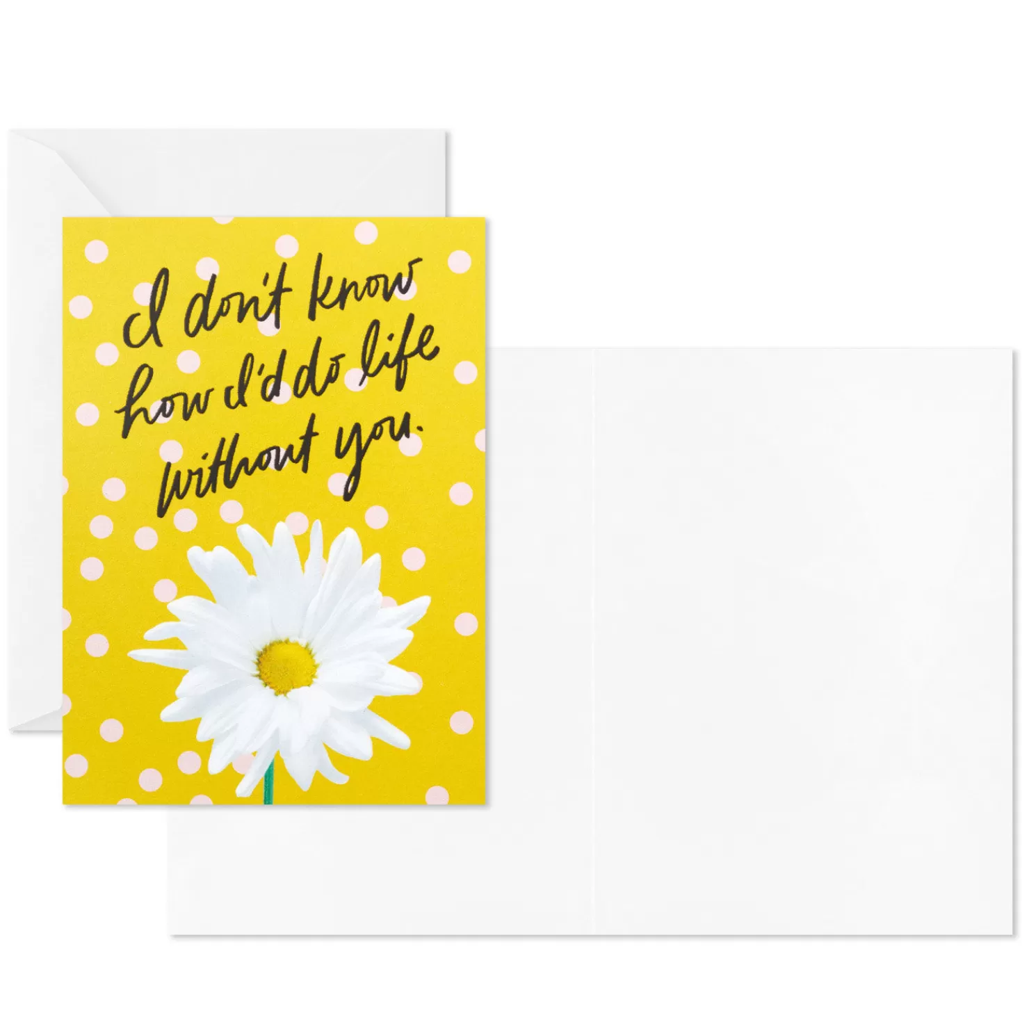 Online Colorful Daisies Boxed Thank-You Notes, Pack Of 50 Thank You
