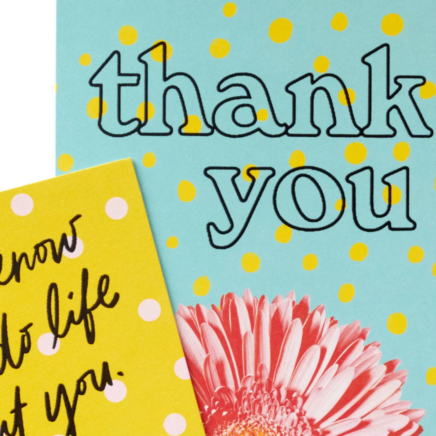 Online Colorful Daisies Boxed Thank-You Notes, Pack Of 50 Thank You