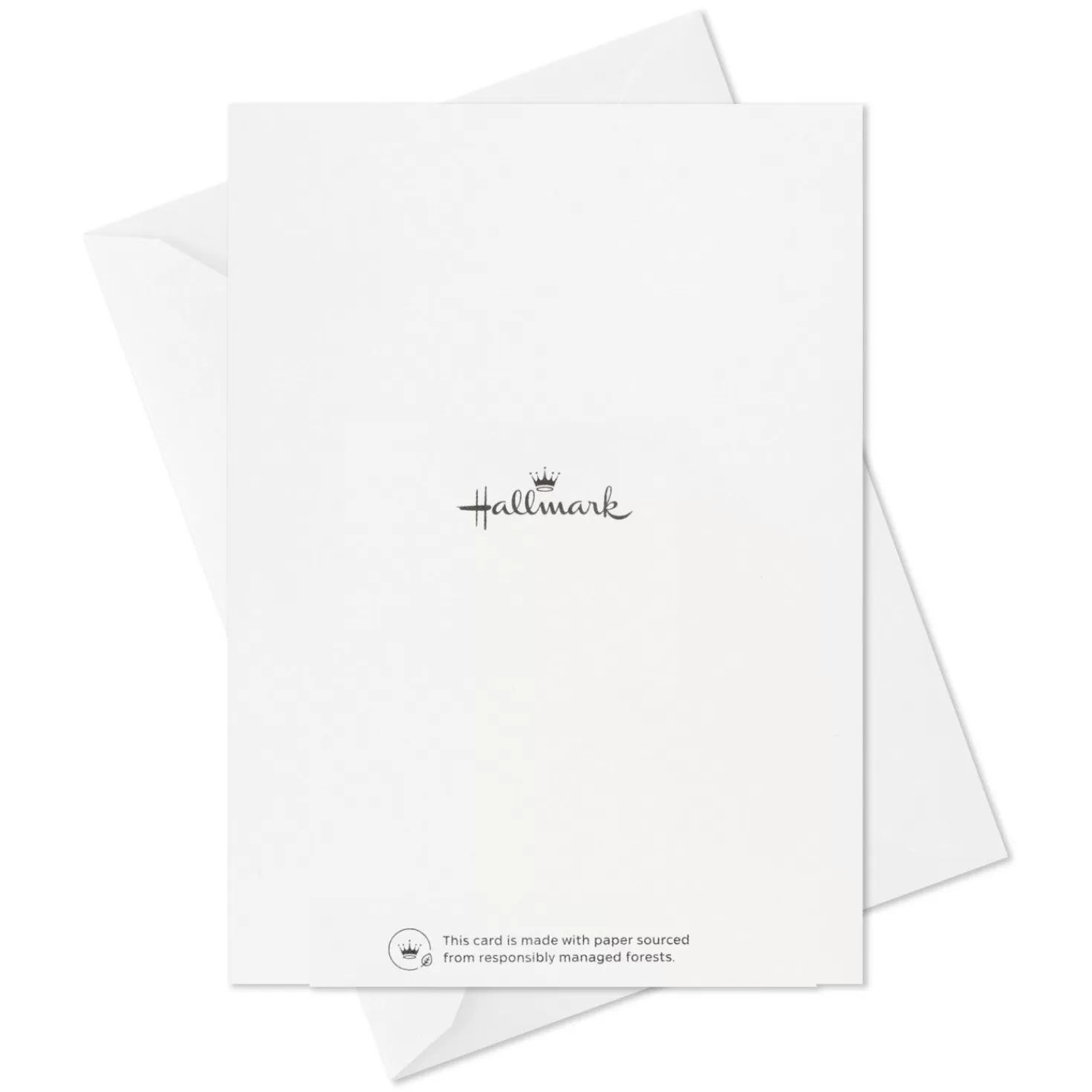 Online Colorful Daisies Boxed Thank-You Notes, Pack Of 50 Thank You