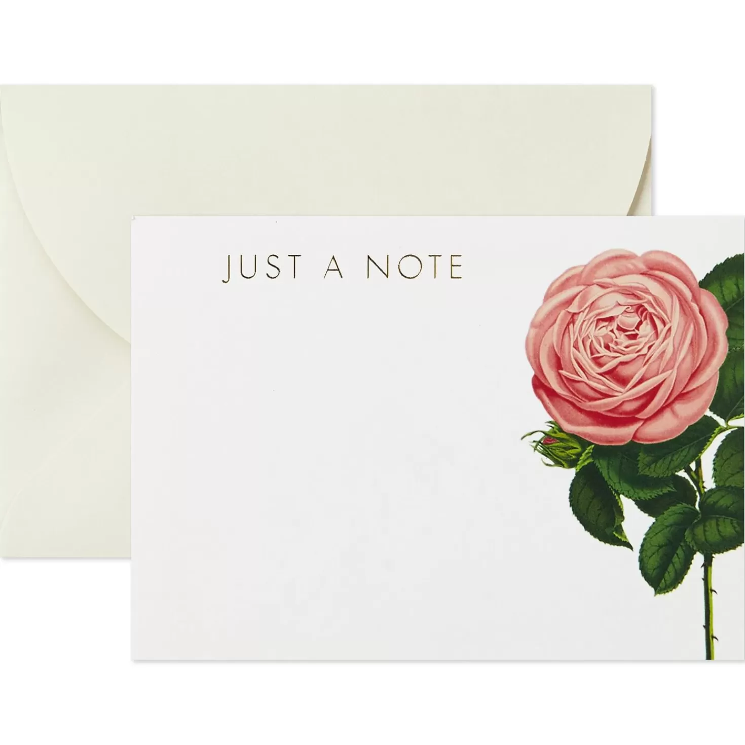 New Cream And Pink Roses Blank Flat Note Cards With Caddy, Box Of 40 Thank You