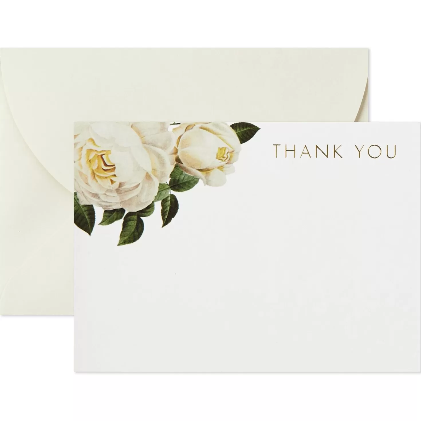 New Cream And Pink Roses Blank Flat Note Cards With Caddy, Box Of 40 Thank You