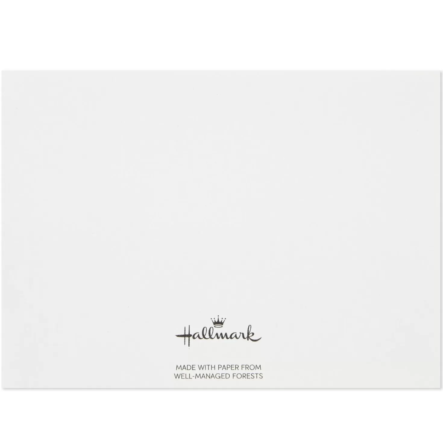 New Cream And Pink Roses Blank Flat Note Cards With Caddy, Box Of 40 Thank You