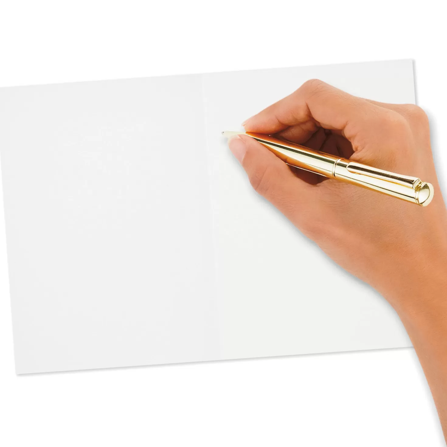 Store Cute Dogs Assortment Blank Thank-You Notes, Pack Of 48 Thank You