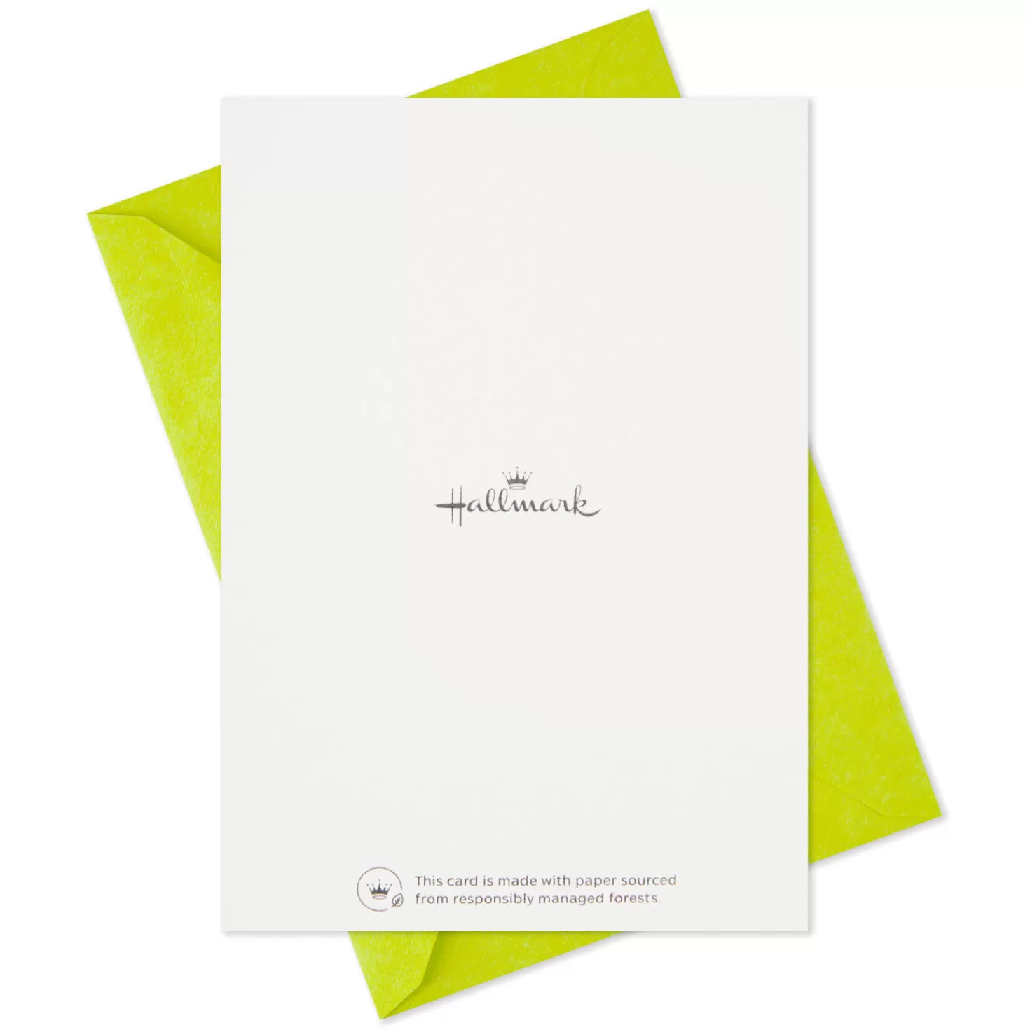 Store Cute Dogs Assortment Blank Thank-You Notes, Pack Of 48 Thank You