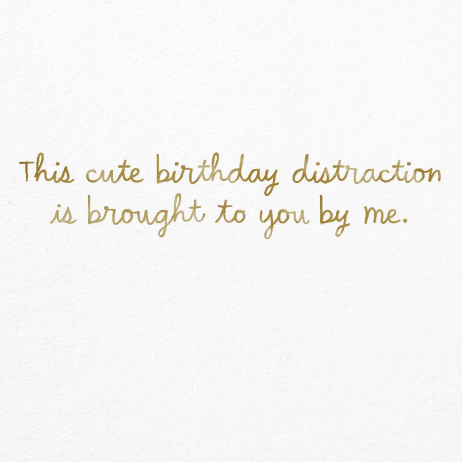 Birthday>Hallmark Cute Kitten Photo Birthday Card