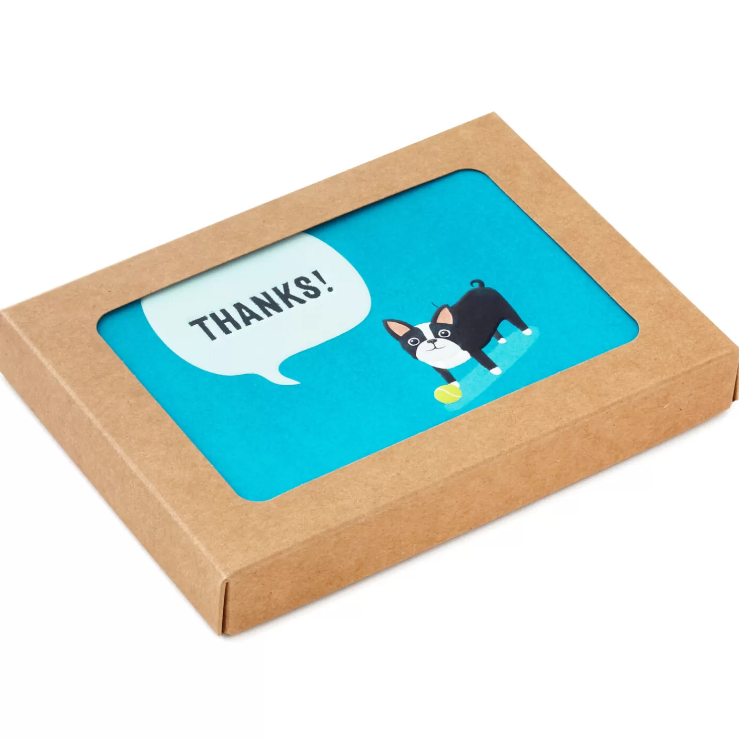 Shop Dog With Tennis Ball Boxed Blank Thank-You Notes, Pack Of 10 Thank You