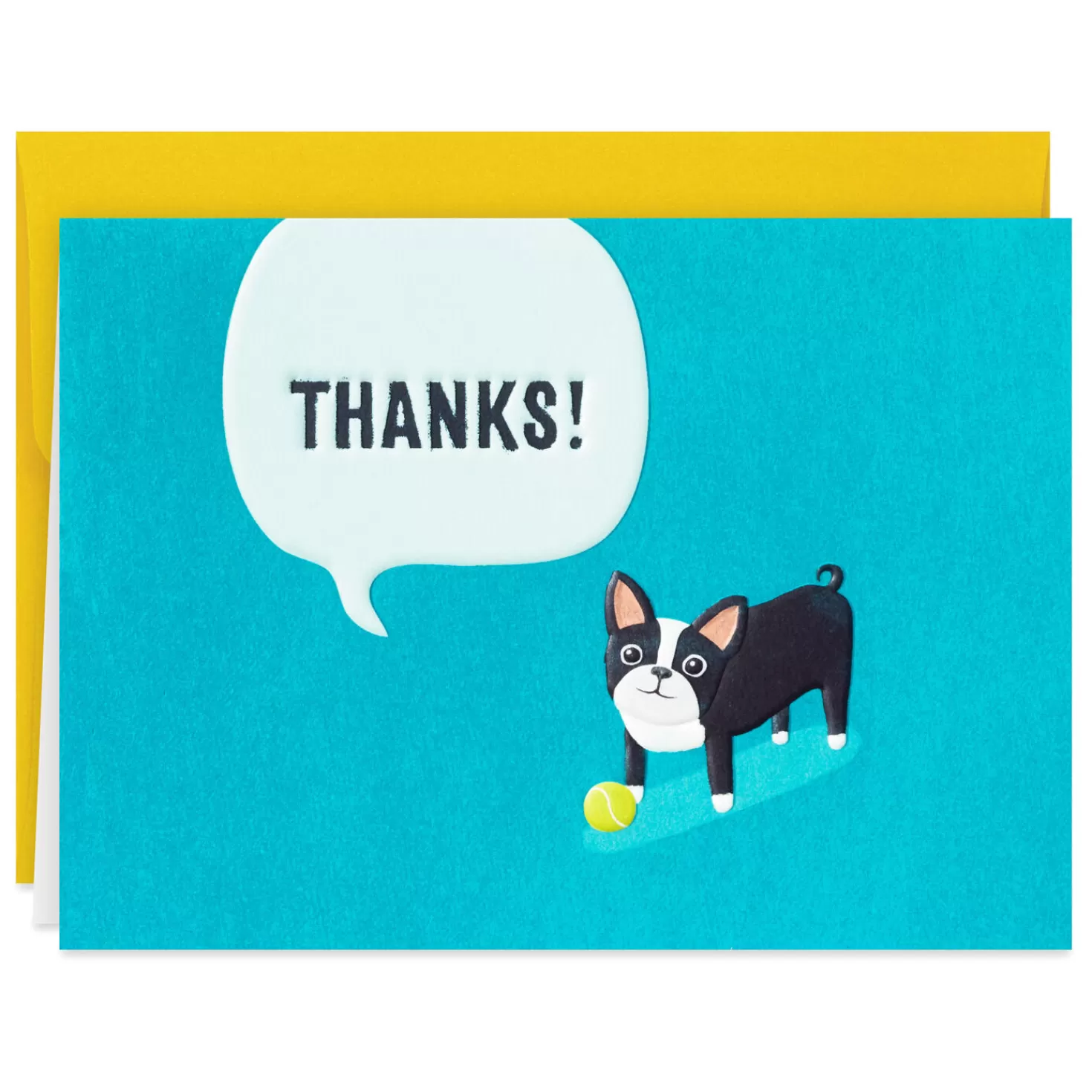 Shop Dog With Tennis Ball Boxed Blank Thank-You Notes, Pack Of 10 Thank You