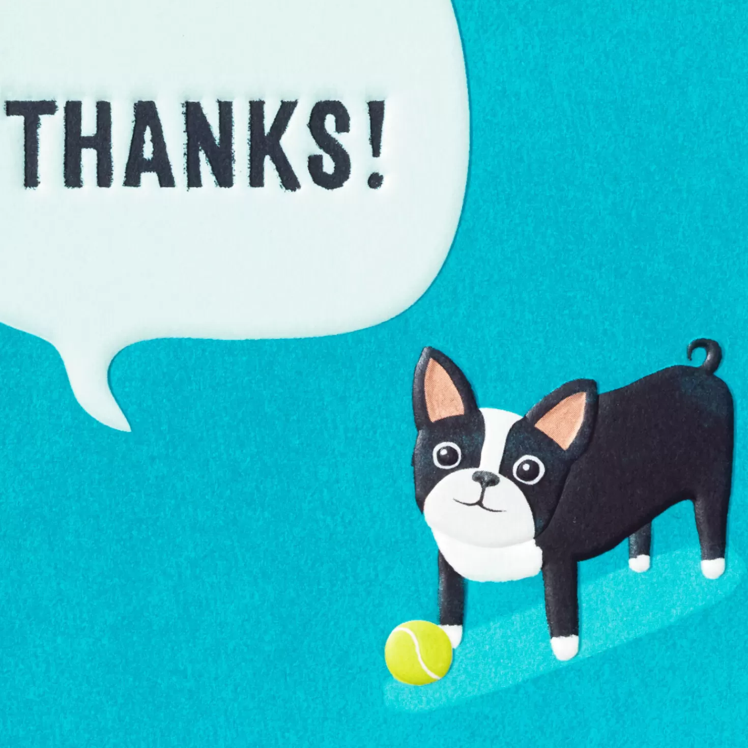 Shop Dog With Tennis Ball Boxed Blank Thank-You Notes, Pack Of 10 Thank You