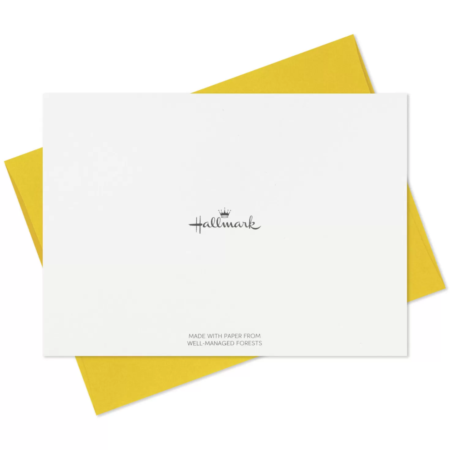 Shop Dog With Tennis Ball Boxed Blank Thank-You Notes, Pack Of 10 Thank You