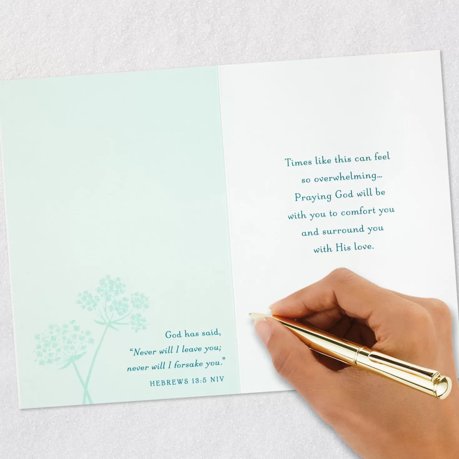 Outlet Dragonfly And Dandelions Religious Sympathy Card For Loss Of Child Sympathy