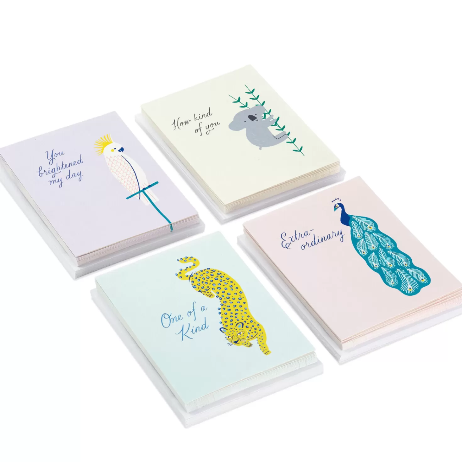 Discount Exotic Animals Assorted Blank Thank-You Notes, Pack Of 48 Thank You