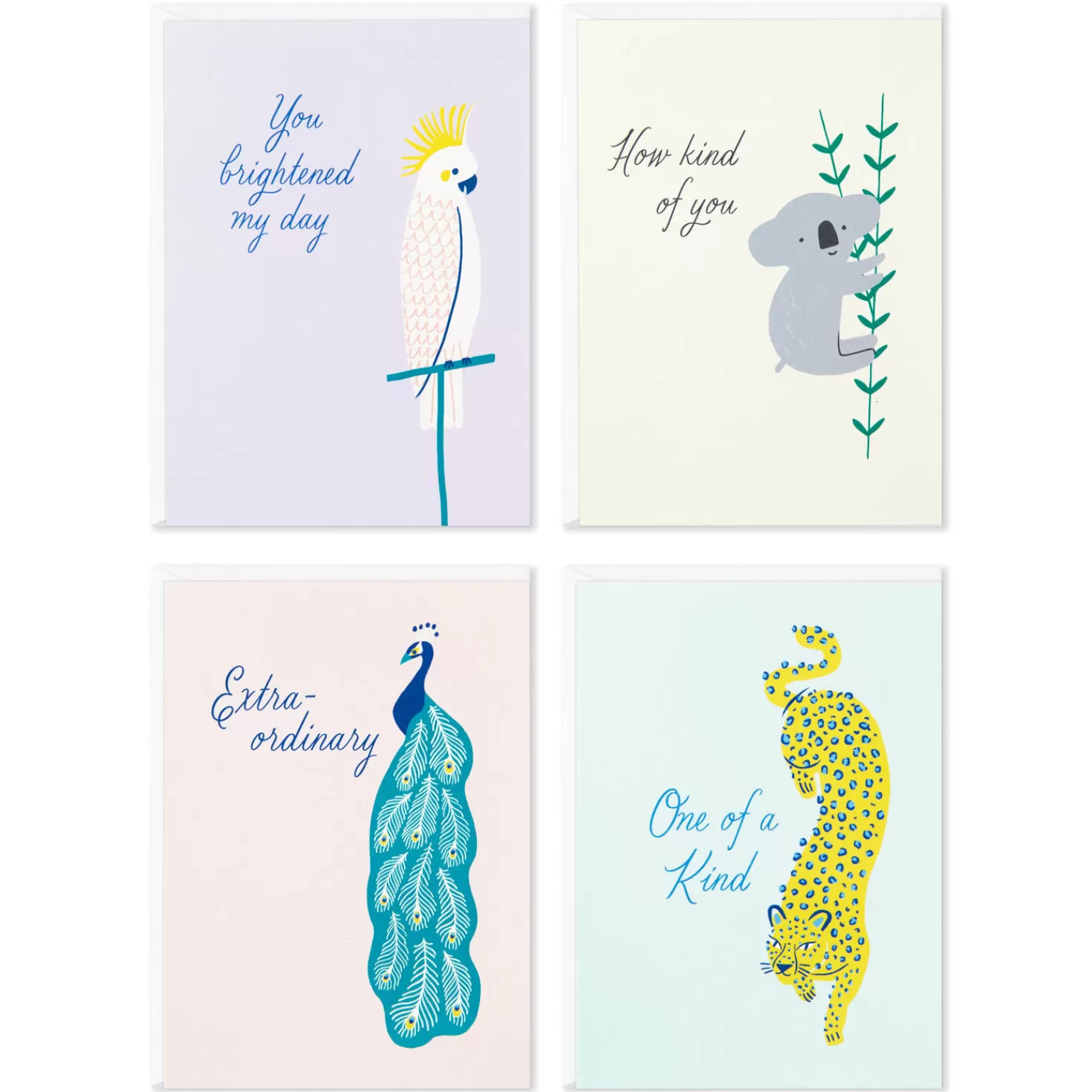 Discount Exotic Animals Assorted Blank Thank-You Notes, Pack Of 48 Thank You