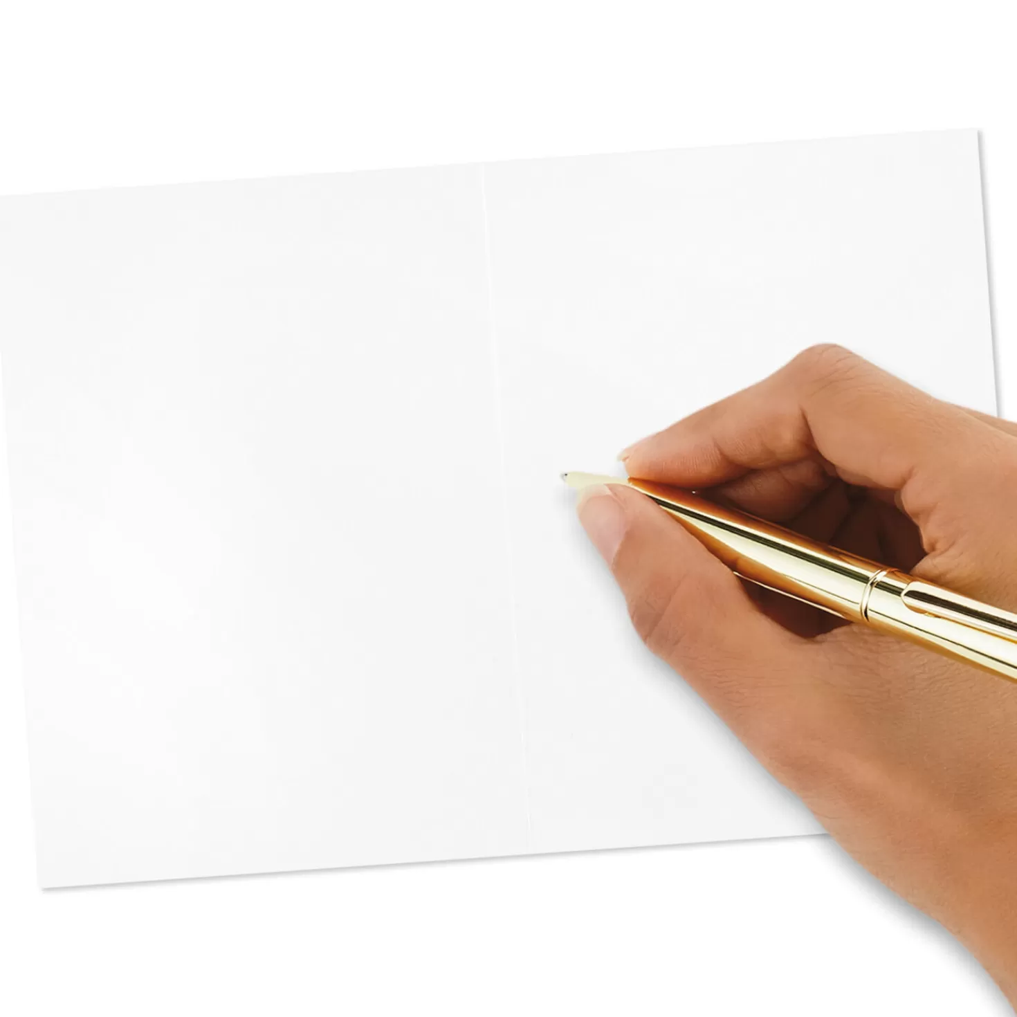 Discount Exotic Animals Assorted Blank Thank-You Notes, Pack Of 48 Thank You