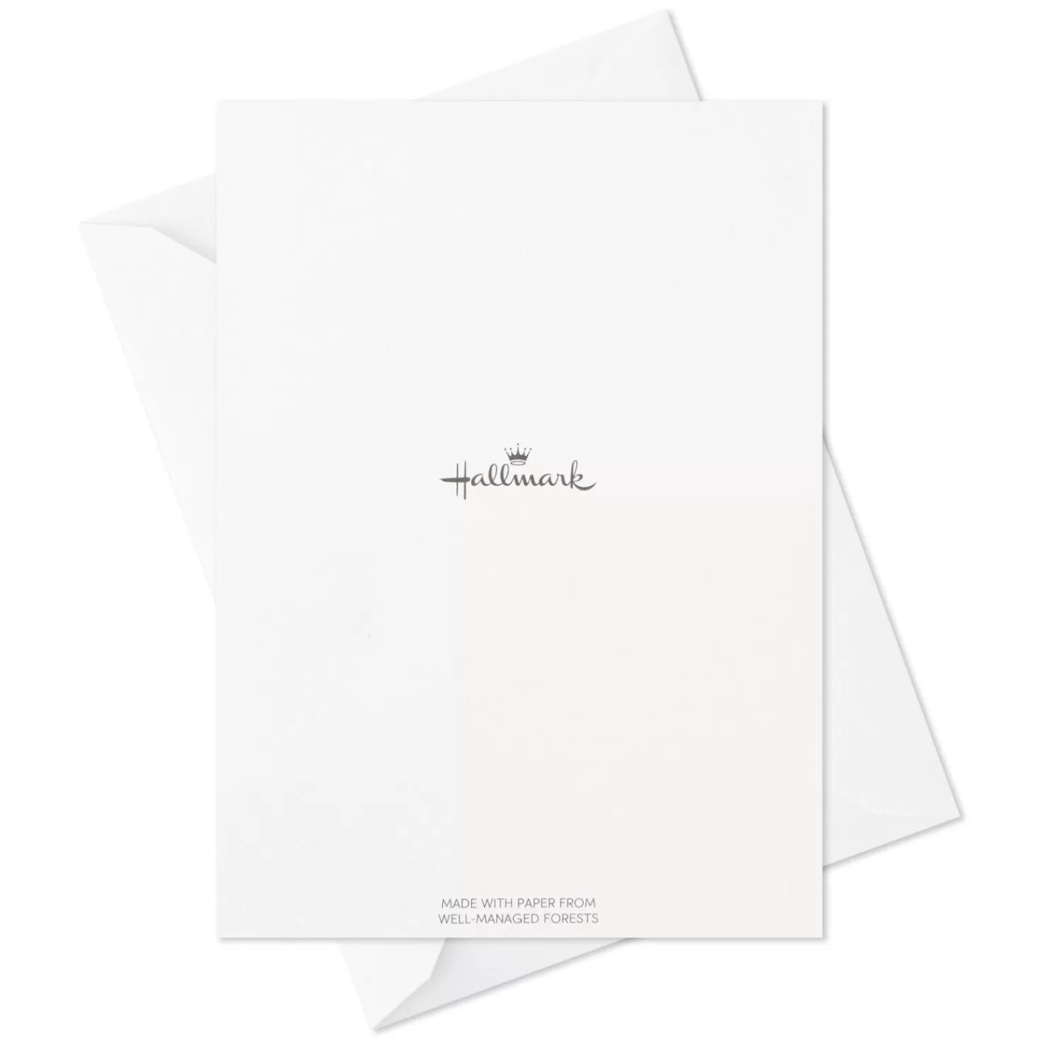 Discount Exotic Animals Assorted Blank Thank-You Notes, Pack Of 48 Thank You