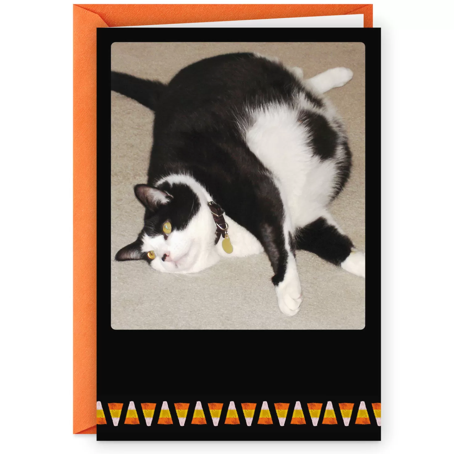 Halloween (10/31)>Hallmark Fat Cat And Candy Corn Funny Halloween Card