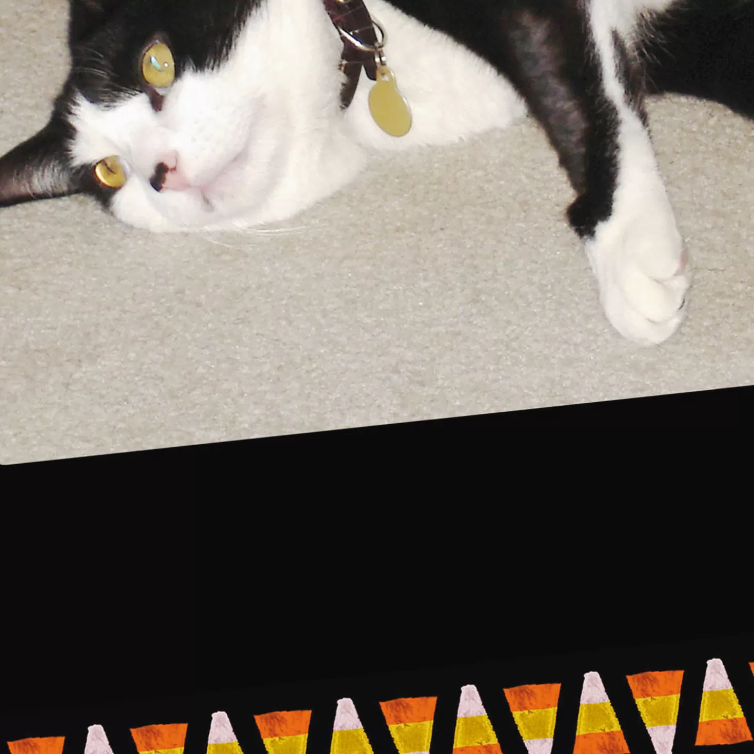 Halloween (10/31)>Hallmark Fat Cat And Candy Corn Funny Halloween Card