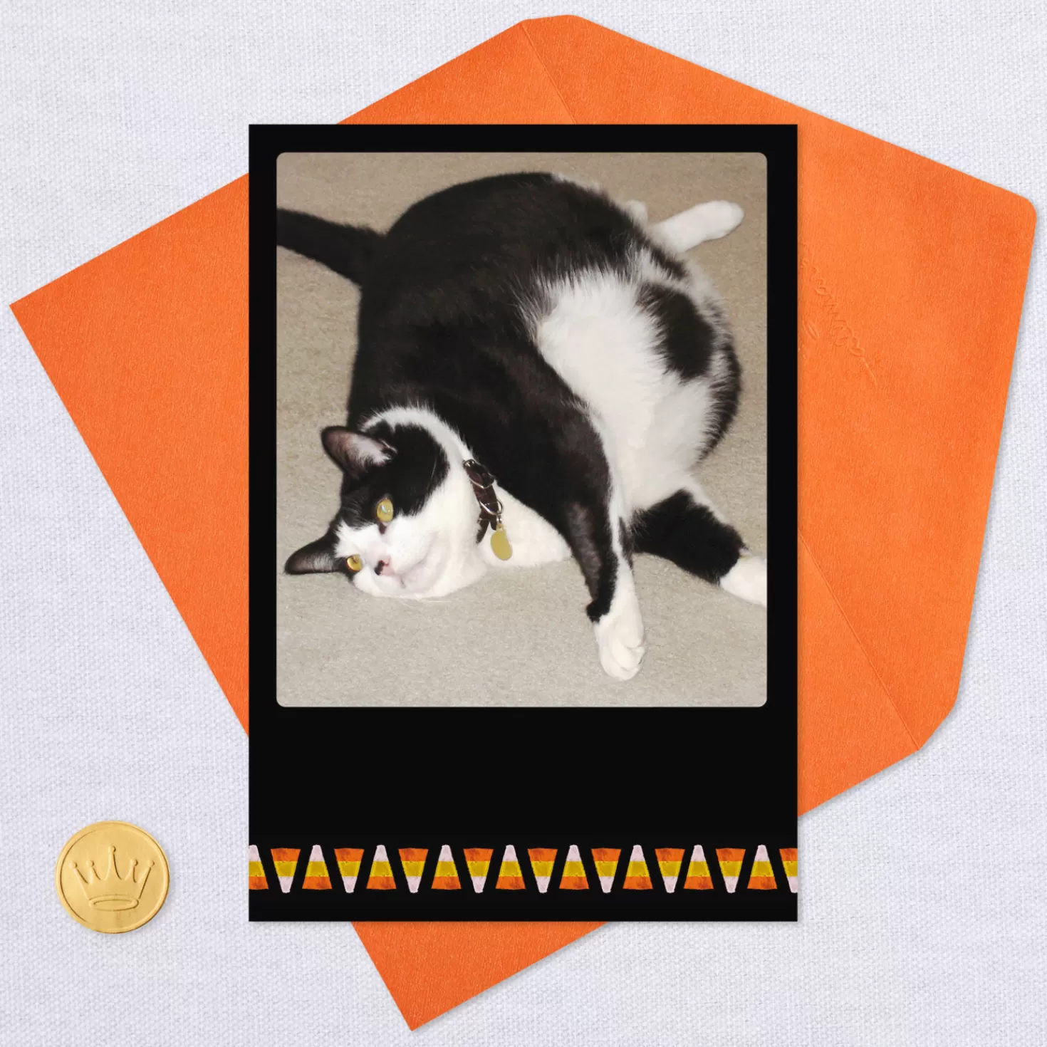 Halloween (10/31)>Hallmark Fat Cat And Candy Corn Funny Halloween Card