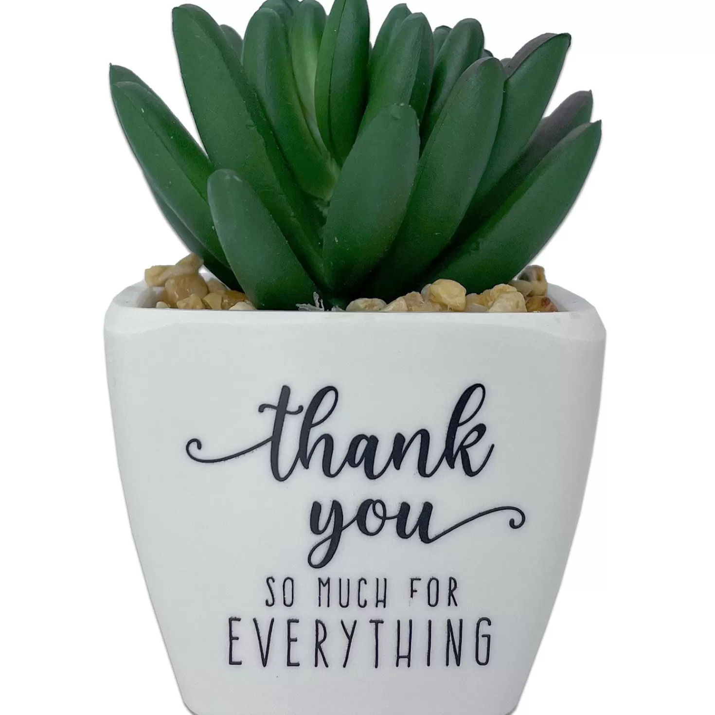 Shop Faux Potted Succulent With Thank-You Message Thank You