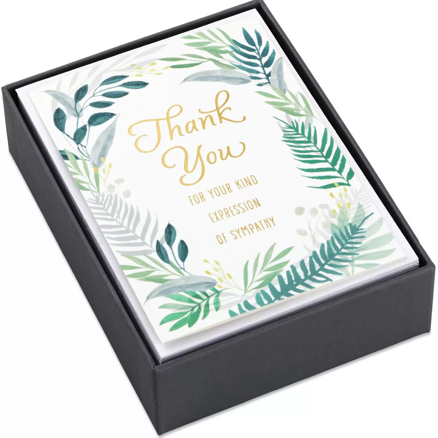 Shop Fern Border Blank Sympathy Thank You Notes, Box Of 20 Thank You