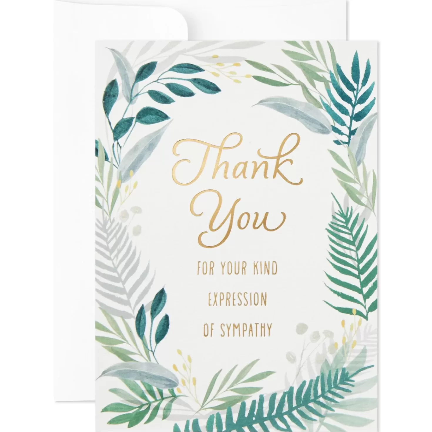 Shop Fern Border Blank Sympathy Thank You Notes, Box Of 20 Thank You