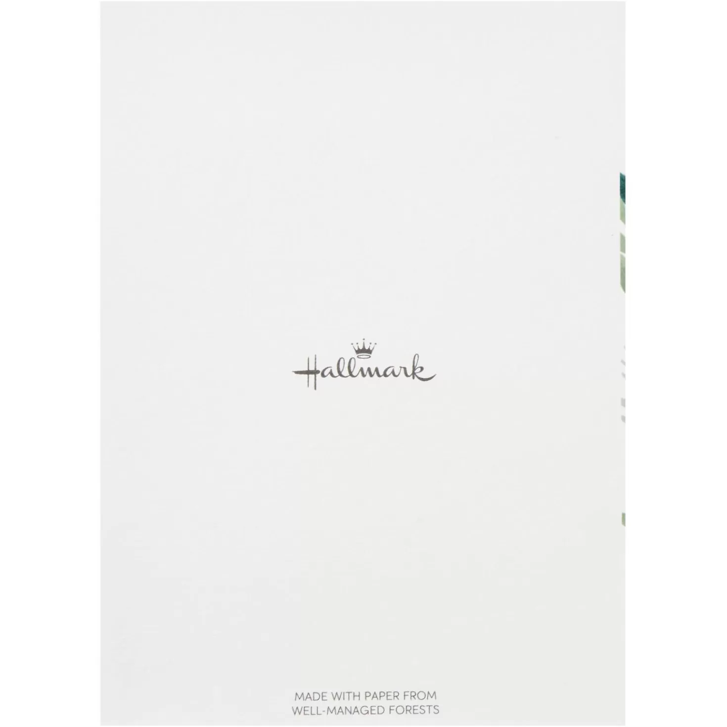 Shop Fern Border Blank Sympathy Thank You Notes, Box Of 20 Thank You